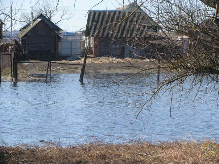Паводки в Гомельской области подтопили уже 115 подворий