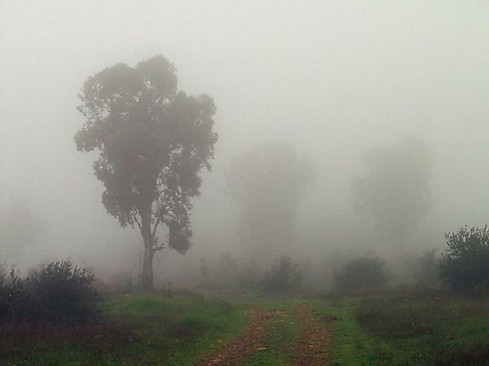 О погодных условиях на 9 октября: новости, погода, прогноз погоды ...