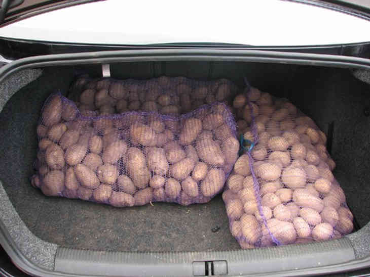 Мешок картошки сколько кг. Картофель в мешках. Килограмм картошки. Мешок картошки. Мешок картошки в багажнике.