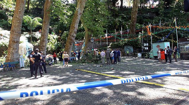 Упавшее дерево убило во время праздника 12 человек‍
