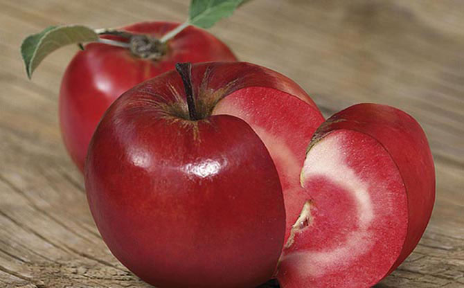 10 самых причудливых и необычных яблок во всем мире