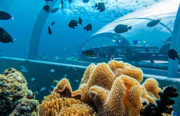 Самый большой в мире подводный панорамный ресторан