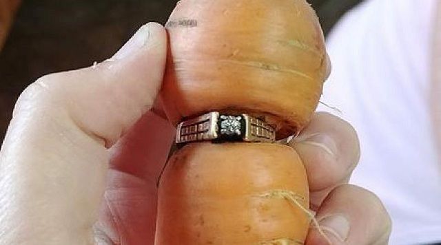 Жительница Канады нашла потерянное кольцо в урожае моркови спустя 13 лет‍