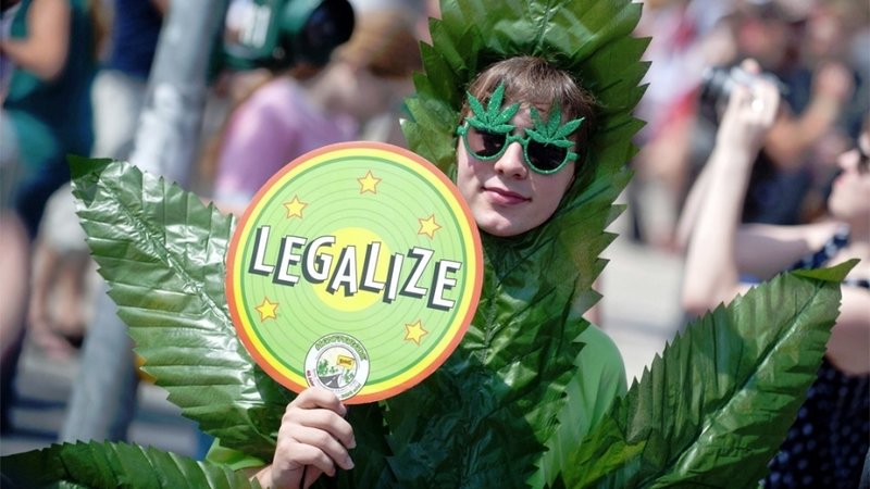петиция за легализацию марихуаны