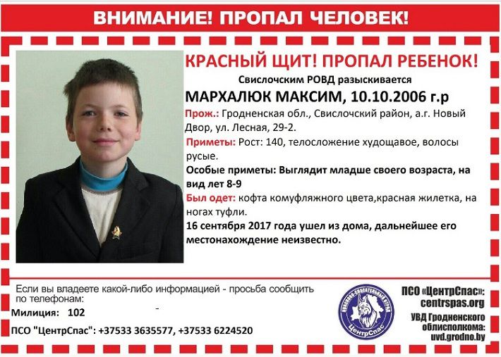 В Беловежской пуще больше двух суток не могут найти маленького мальчика: граждан просят помочь 