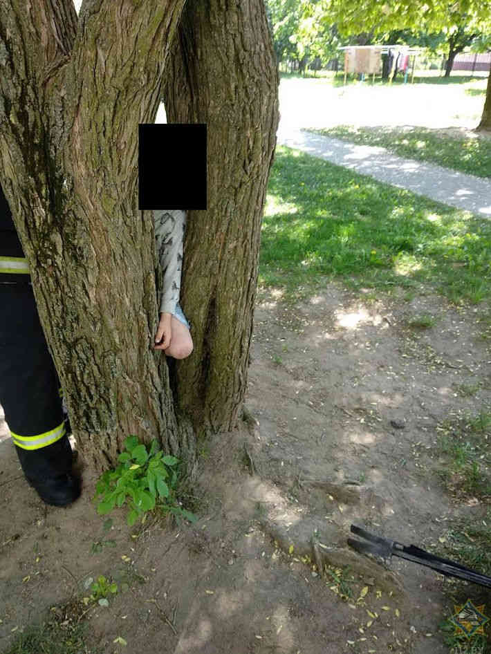 В Минске 5-летний мальчик застрял между стволами дерева‍