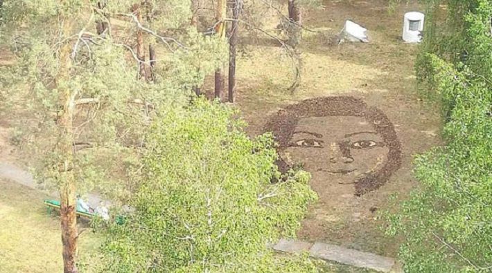 Огромный портрет девушки из шишек появился у больницы в Гомеле‍