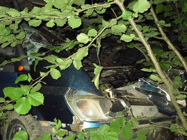 ДТП с лосем в Быховском районе: есть погибшие