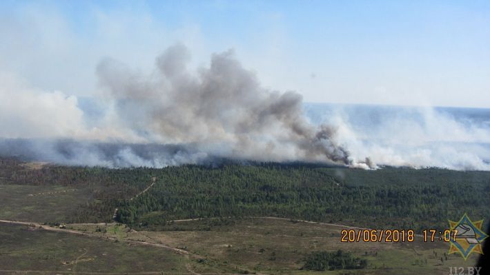 Под Барановичами ликвидирован‍ сильный лесной пожар