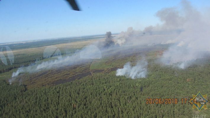 Под Барановичами ликвидирован‍ сильный лесной пожар