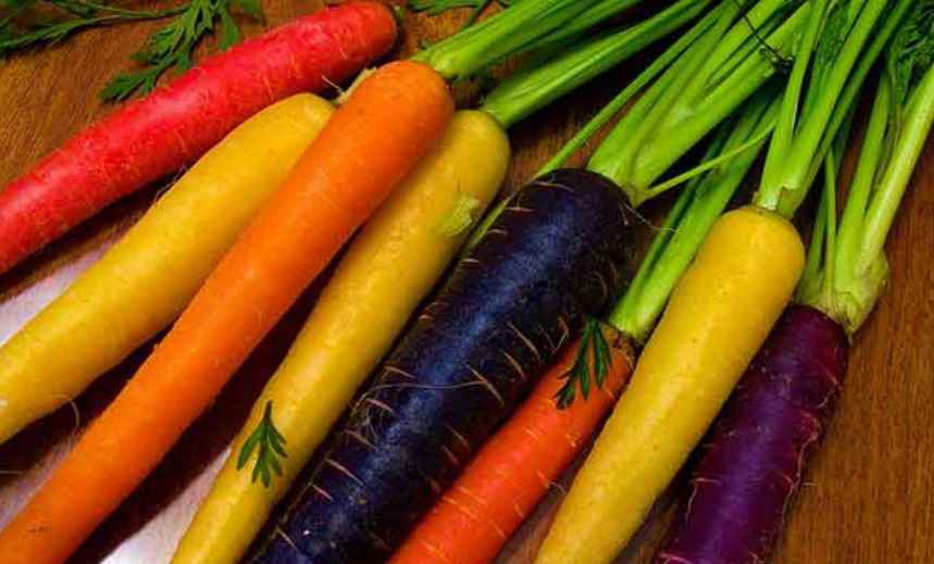 Полезные корнеплоды: морковь