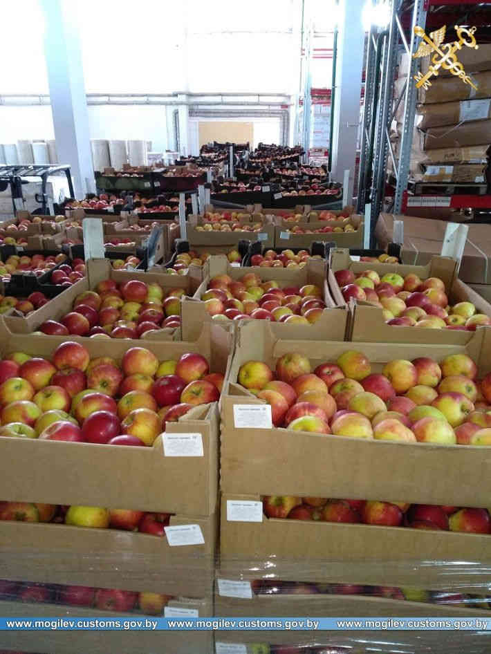 Незаконное перемещение более 40 тонн яблок пресекли могилевские таможенники