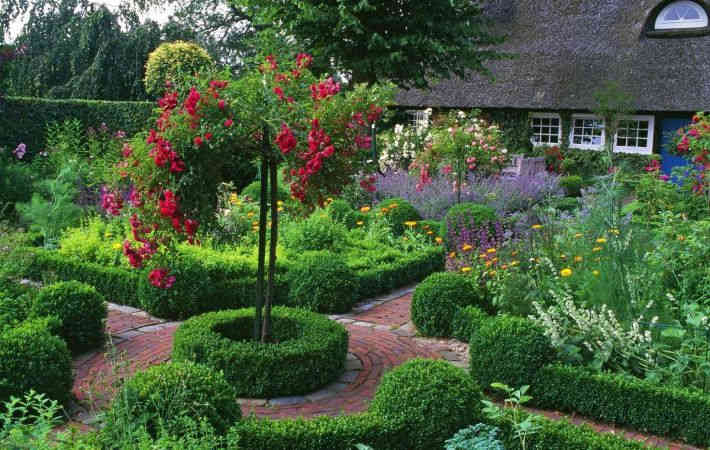 Как правильно сочетать растения на садовом участке