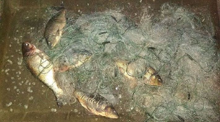 Сельчанин украл 378 кг рыбы и встретил инспекторов