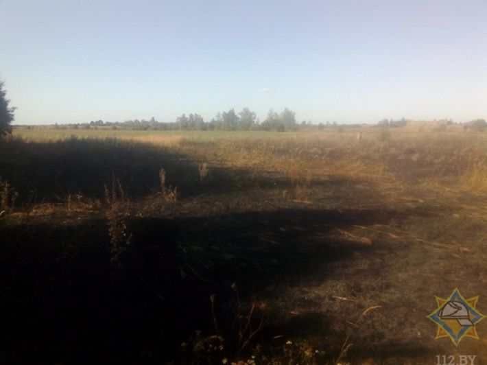 В Солигорском районе пенсионер пострадал при тушении травы