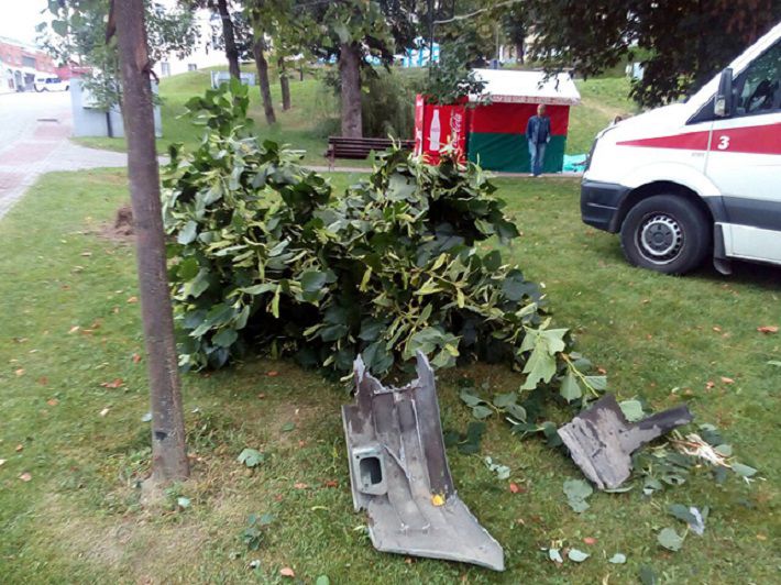 В витебском парке покатился припаркованный грузовик, пострадала женщина‍