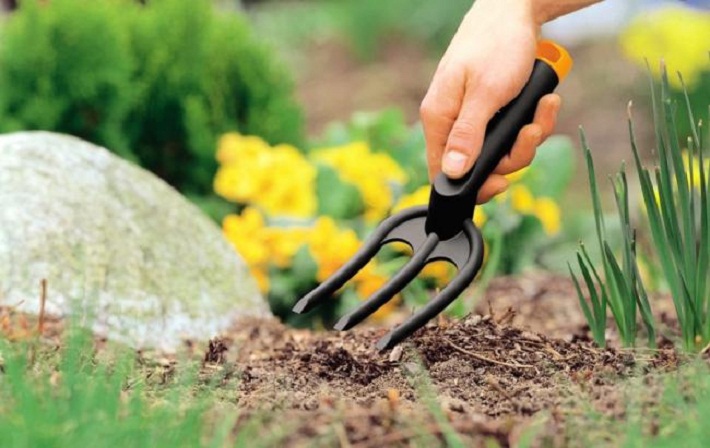 8 простых советов по уходу за своим садом