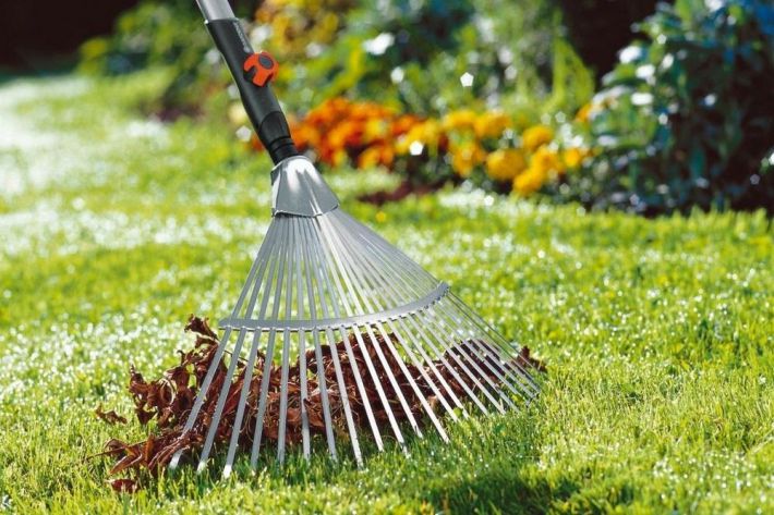 8 простых советов по уходу за своим садом