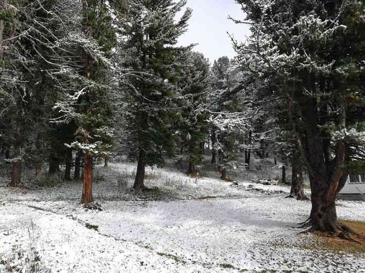 На Алтае начали лепить снеговиков