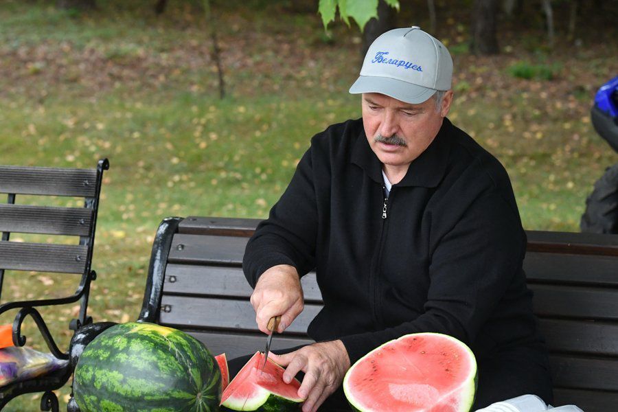 Лукашенко собрал урожай картошки и арбузов