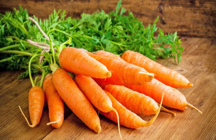 Соль при выращивании моркови