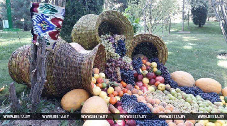 В Таджикистане к приему высоких гостей установили грандиозные инсталляции из фруктов и овощей