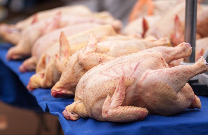 Определяем качество куриного мяса: советы и основные рекомендации