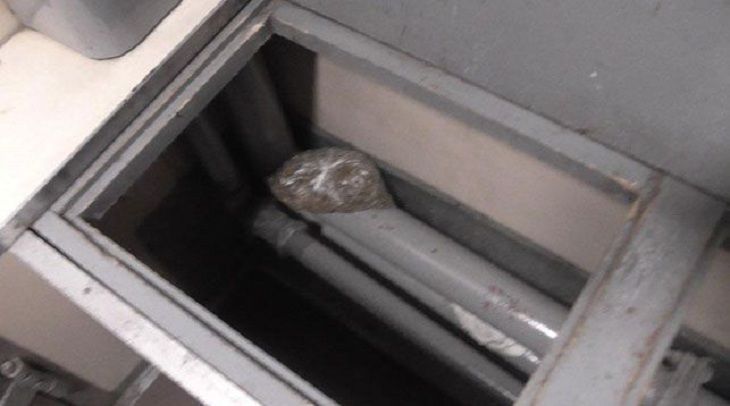 Гомельские таможенники обнаружили в поезде марихуану