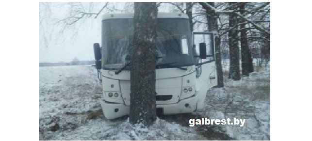 Под Ивацевичами автобус врезался в дерево: пострадала женщина 