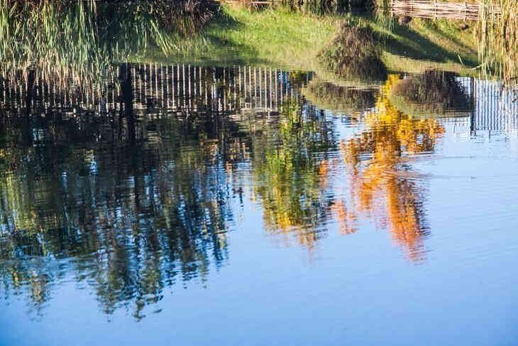 На карту нанесли более 500 родников Беларуси