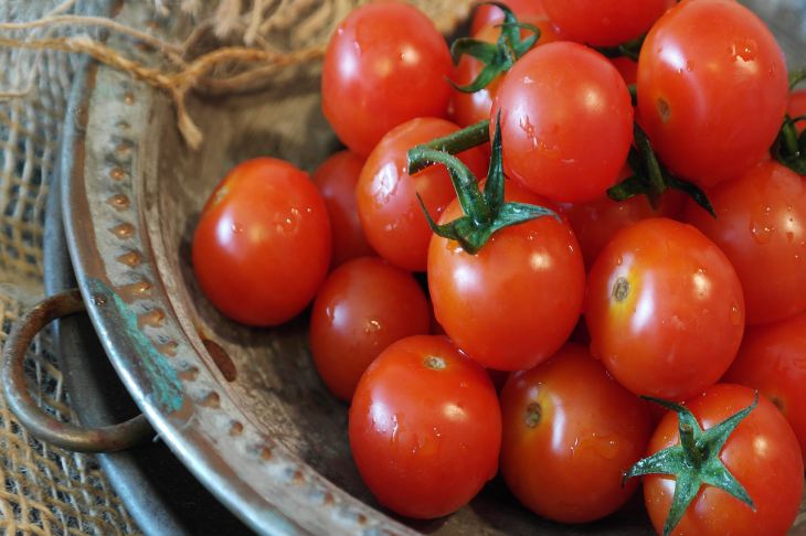 Польза и вред томатного сока для здоровья человека