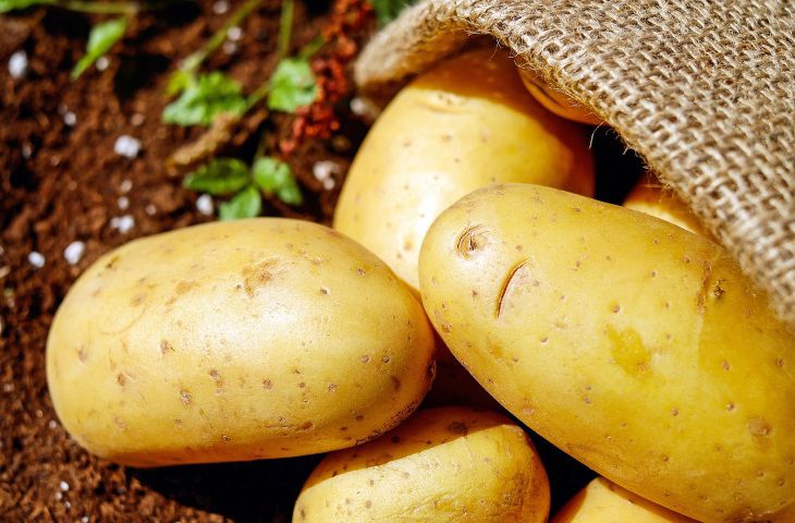 Ученые объяснили, почему необходимо регулярно есть картофель