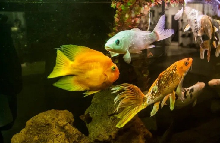 Мальчик умер от запаха еды своей бабушки