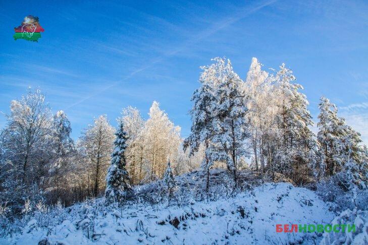 В Гомельской области развернулась кампания Мороз