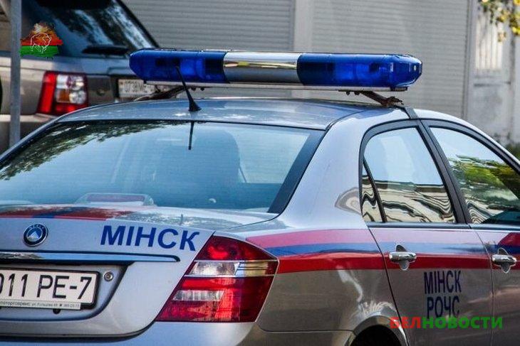 Бабушку-рецидивистку задержали в Добрушском районе