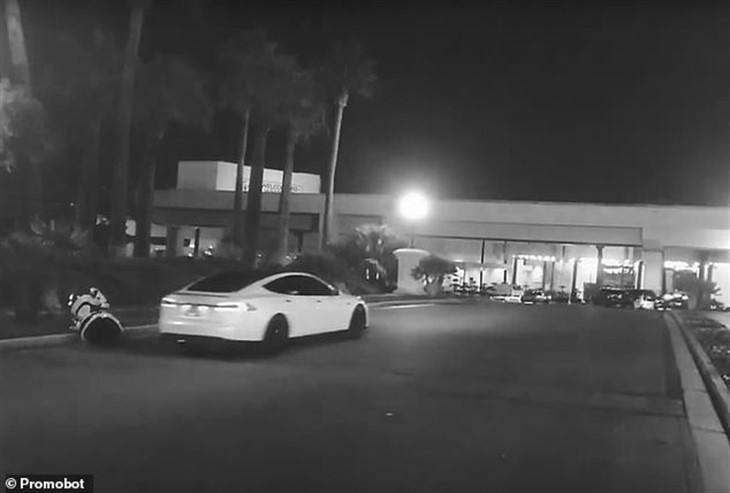 В США Tesla на автопилоте сбила российского робота В США Tesla на автопилоте сбила российского робота