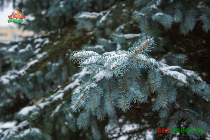 Прогноз погоды на 11 января 2019 года Прогноз погоды на 11 января 2019 года