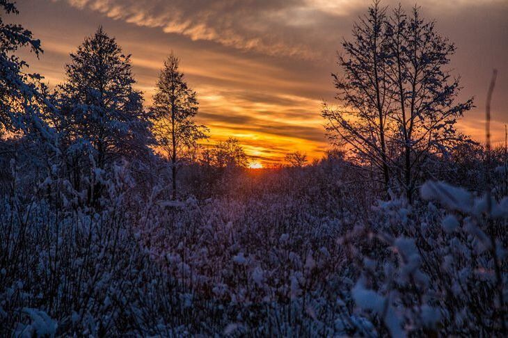 Сюрпризы погоды на 12 января 2019 года Сюрпризы погоды на 12 января 2019 года
