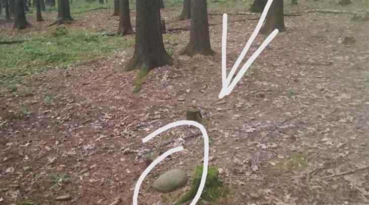 Двое борисовчан ради беспечной жизни решили стать наркодилерами Двое борисовчан ради беспечной жизни решили стать наркодилерами