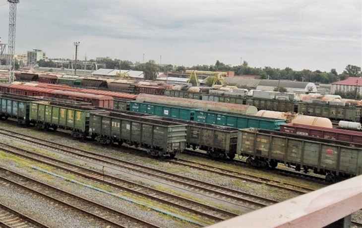 Мужчина смертельно травмирован товарняком в Городокском районе