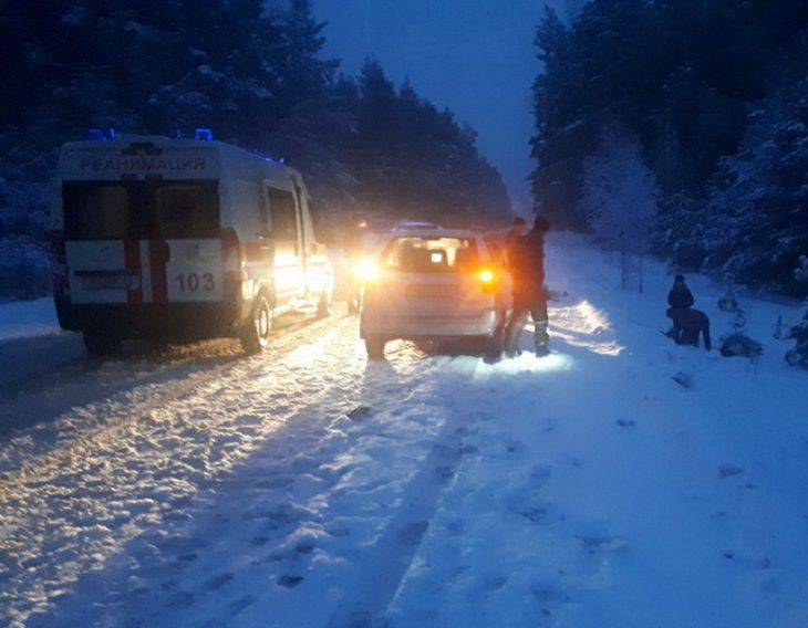 ГАИ: Водитель фуры совершил наезд на велосипедиста и скрылся с места ДТП