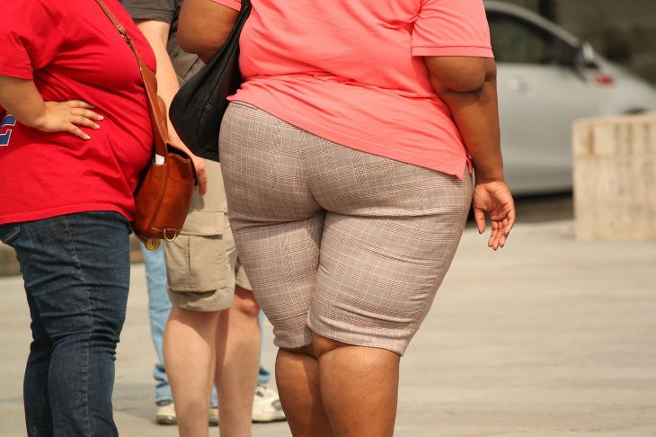 Употребление жиров является единственной причиной увеличения веса