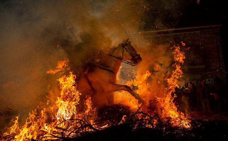 Конь прыгает через огонь. Испания день огня и животных. Праздник день огненной воды. Горящий конь. Огненный конь.