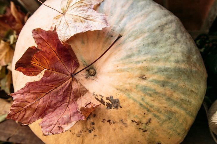 Топ-10 полезных продуктов для здоровья глаз