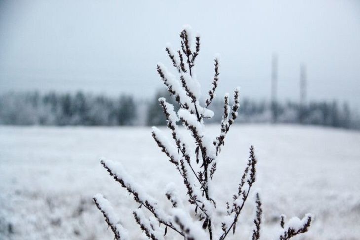 Прогноз погоды на 23 января 2019 года Прогноз погоды на 23 января 2019 года