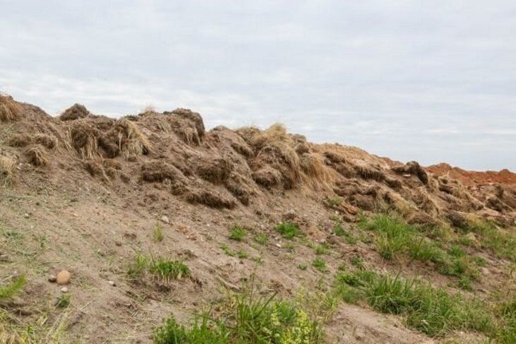 У берегов Филиппин произошло землетрясение магнитудой 5,5 У берегов Филиппин произошло землетрясение магнитудой 5,5