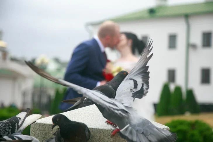 Почему мужчины изменяют? 7 причин измен