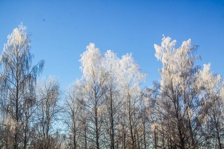 Прогноз погоды в Беларуси на 30 января 2019 года Прогноз погоды в Беларуси на 30 января 2019 года