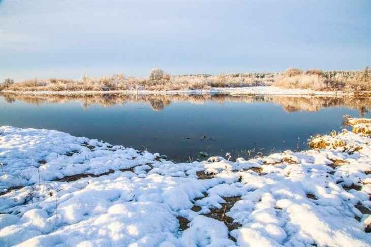 В Гродно спасатели сняли собаку с плывущей по Неману льдины