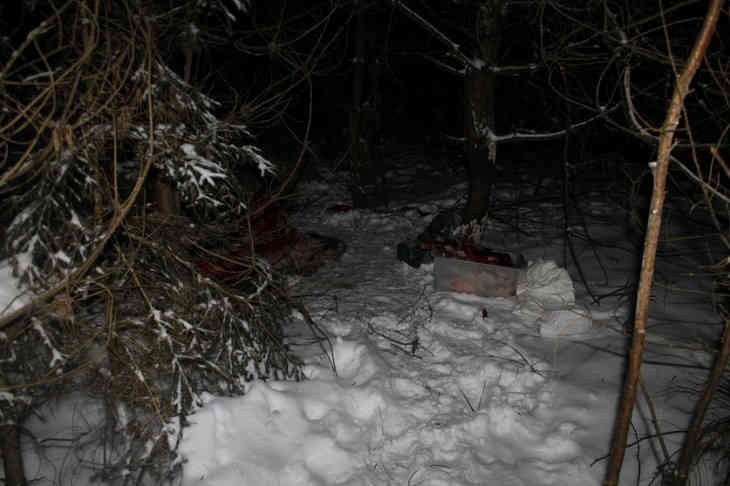 Новости происшествий: обзор за 29 января 2019 года Новости происшествий: обзор за 29 января 2019 года